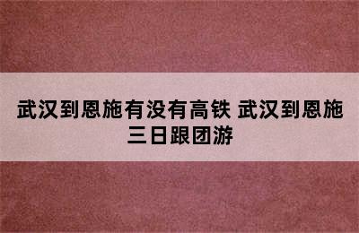 武汉到恩施有没有高铁 武汉到恩施三日跟团游